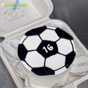 Soccer Ball Dosirak