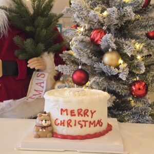 Christmas Bear (Full size)